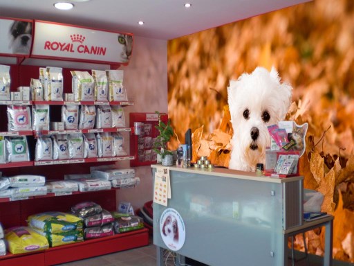 Fotomural peluqueria canina