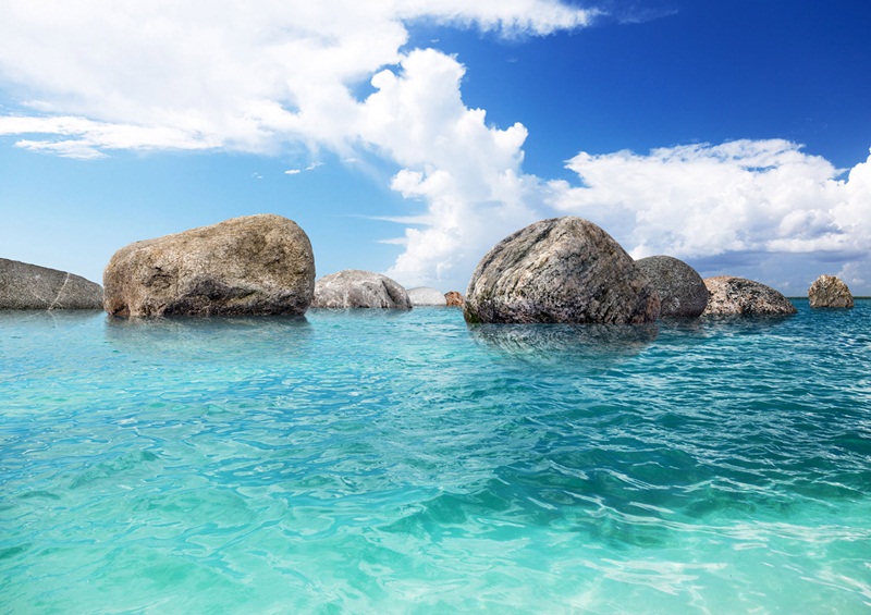 Fotomural Barato FTS 1301